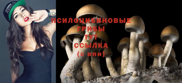 не бодяженный Аркадак