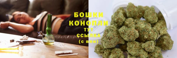 не бодяженный Аркадак