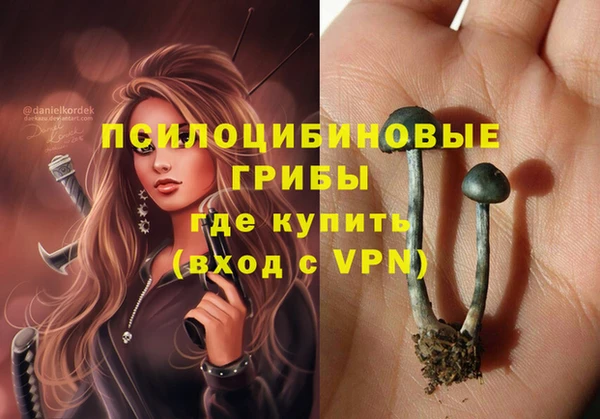 не бодяженный Аркадак